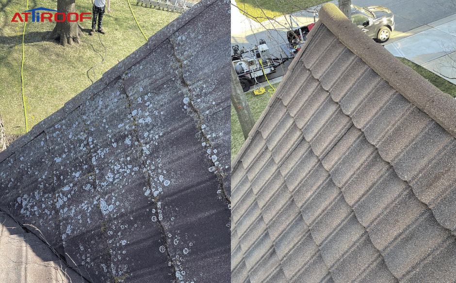 On the left is the unwashed roof, and on the right is the washed roof.